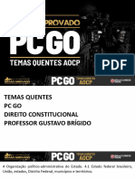 Temas Quentes PC-GO Gustavo Brigido