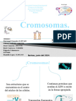 Cromosomas Diapositiva Lista-1