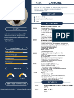 Tarik CV 24 2.0