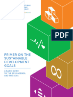 UNSDG SDG Primer Companion Piece