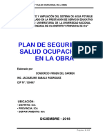 6.01 PLAN SE SEGURIDAD - SALUD OCUPACIONAL - OBRA - Version