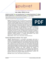 Hipoadrenocorticismo Canino Relato de CA