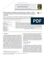 Ko Et Al., 2013 - Field Evaluation of Transgenic Pineapple Cv. Smooth Cayenne' For Resistance To Blackheart