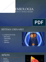 Semiología Renal