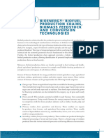 Bioenergy: Biofuel Production Chains, Biomass Feedstock and Conversion Technologies