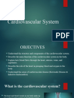 Cardiovascular System