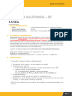 Indicaciones y Rúbrica de Evaluación D. Romano DEPR.1100.EF