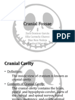 Cranial Fossae: Zara Denisse Garcia Ella Carmela Chavez Mae Nen Vedeja Mardred Marcelo