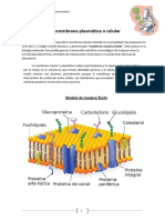 Biología Prueba.