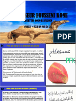 Professeur Fousseni Kone PDF