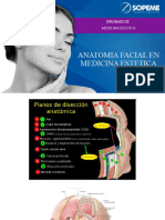 Anatomia 2023