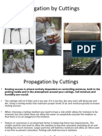 Propagation by Cuttings Presentation