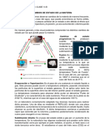 Cambios de Estado. Clase 10 B