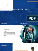 Morfofisiología I-Ana - Sem-02 - Sesión-05-08 - 2024-1