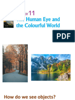 Human Eye & Colourful World 1