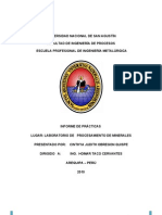 Informe de Procesamiento de Minerales