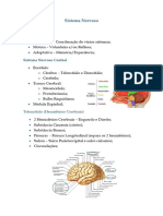 Sistema Nervoso