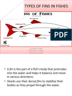 Types of Fins in Fishes