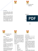 Triptico de La Contaminacion Ambiental