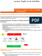 1.energy Flow in Ecosystem