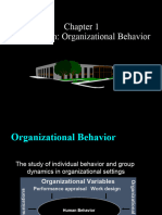 Organizational Behavior - Lecture 1