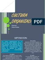 Cultura Organizacional