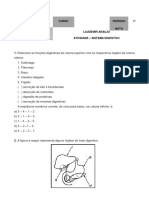 Atividade - Sistema Digestivo