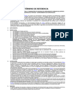 TDR Esquema de Ordenamiento Urbano (EU) PICHOS.