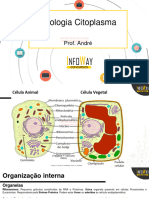 22.03 - Biologia - Citologia - Organização Interna - Aula