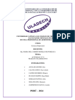 Actividad 13 Procesos de Comunicacion