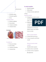 Sistema Muscular