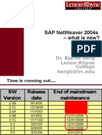 Sap Netweaver 2004S - What Is New?: Dr. Bjarne Berg Lenoir-Rhyne College Bergb@Lrc - Edu