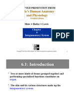 Chapter 6 Integumentary System