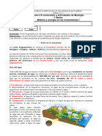 Guía Nº8 Iº Materia y Energía en Ecosistemas I