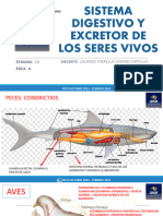 Semana 10