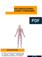 A. Circulatorio - Estructura y Funciones