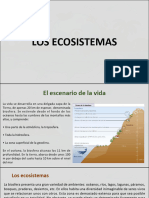 Eco Sistem As