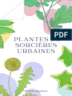 Plantes de Sorcie