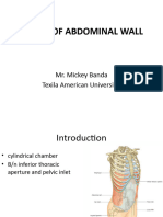 Abdominal Wall