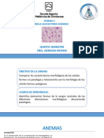 5.2 Anemias - Clasificación - . Pruebas de Laboratorio