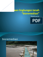 Materi-13 Bioremediasi