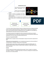 Reparación Del Adn