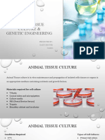 Animal Tissue Culture and Genetic Engineering