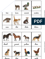 CARTES Animaux