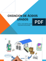 B-Oxidacion de Ácidos Grasos, Bioquimicai, 2024