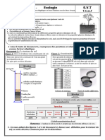 PL1 - Eco