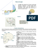 Neurocirugía Completo