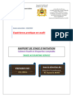 Rapport de Stage D Initiation 2