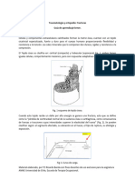 Guia de Fracturas para Estudiantes