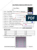 Document de Trust Wallet Et Dépôt Des USDT Dans SYT